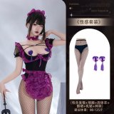 Set 4602 + [8096 Purple Nipple Covers + Fishnet Stockings]