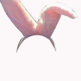 Single rabbit ears