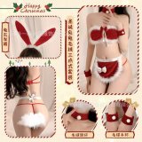 9815 [Rabbit Set]