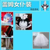 Rem complete outfit (clothes, wig, headpiece, hairnet, stockings, petticoat)