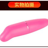 vibrator