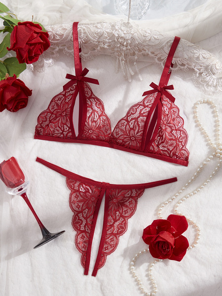 Lace Sleepwear Set for Women – Sexy European-American Style Erotic Lingerie, Premium Factory Direct - Wine Red