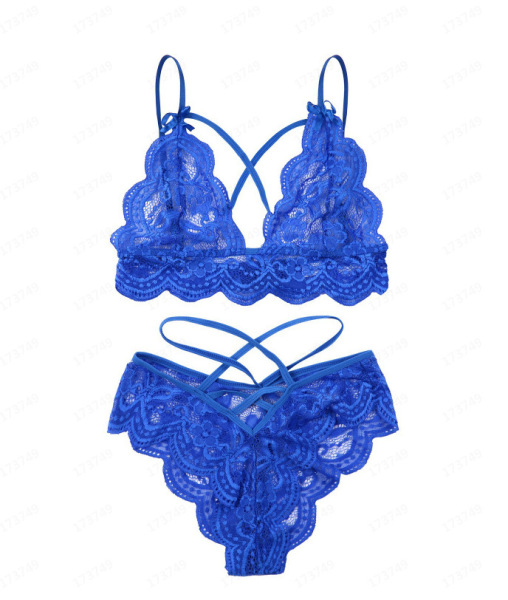 Sexy Lace Bra and Panty Set - Three-Point Erotic Lingerie for Women, Plus Size Sleepwear & Intimate Apparel - blue
