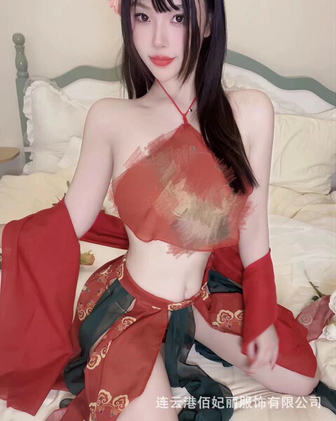 Plus Size Vintage Chinese Lingerie Set - Embroidered Hanfu-Style Doudou & Cheongsam for Role Play & Sensual Wear - Flying Apsara [Dudou + Shawl + Skirt + Underwear]