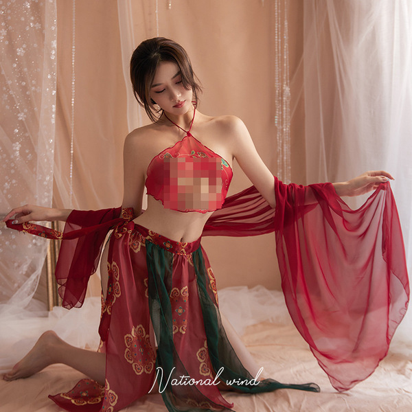 Seductive Chinese Dance Costume Set - Sheer Hanfu-Inspired Sensual Lingerie & Silk Court Gown for Women - 【Flying Set】