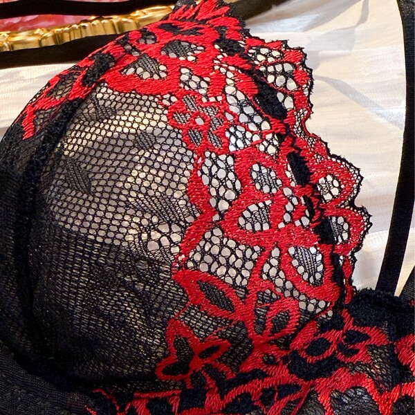 Luxury lace sheer bra set with red floral embroidery on black mesh, plus size sexy lingerie for women.