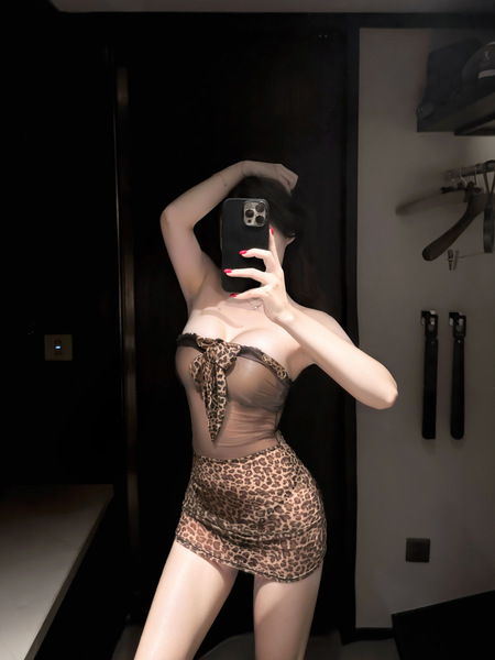 Leopard Print Sheer Bustier Set - Sexy Bodycon Skirt & Lingerie Outfit for Nightclub & Party Wear - Leopard print bodycon skirt + T-shirt