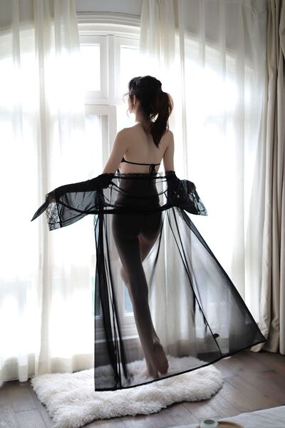 Sexy lace nightgown with sheer mesh design, long sheer fabric, elegant backless style, perfect for lounging and sleepwear.
