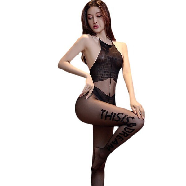 Sheer black bodystocking with this is dream text, featuring a transparent design and sensual fit for intimate moments.