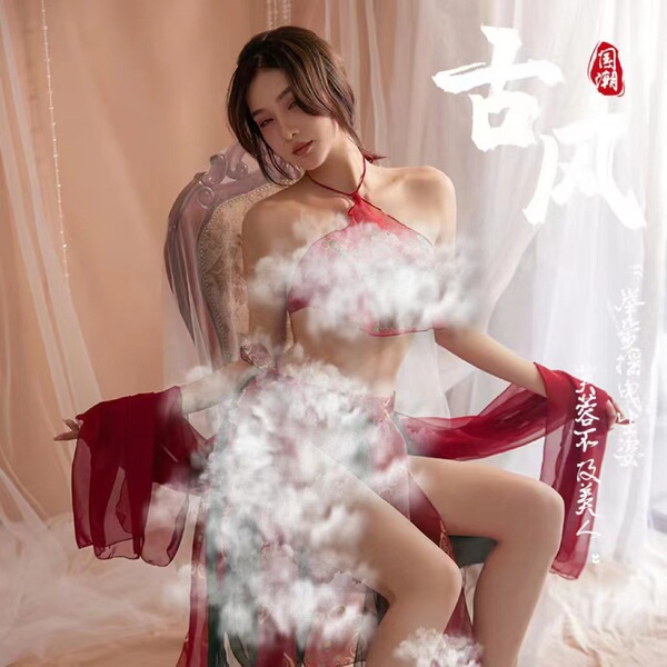 Dunhuang Feitian Ancient Chinese Hanfu Costume Set - Sexy Sheer Embroidered Bodice & Matching Ensemble - Picture set + red fishnet stockings