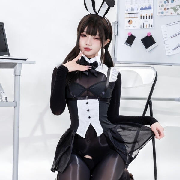 Sexy bunny costume for women - seductive sheer lace bodysuit, tight-fit playful cosplay outfit featuring black and white desi...