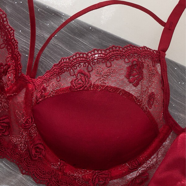 Red lace embroidered bra from sexy lace embroidery lingerie set – pure seduction bra & thong collection for women.