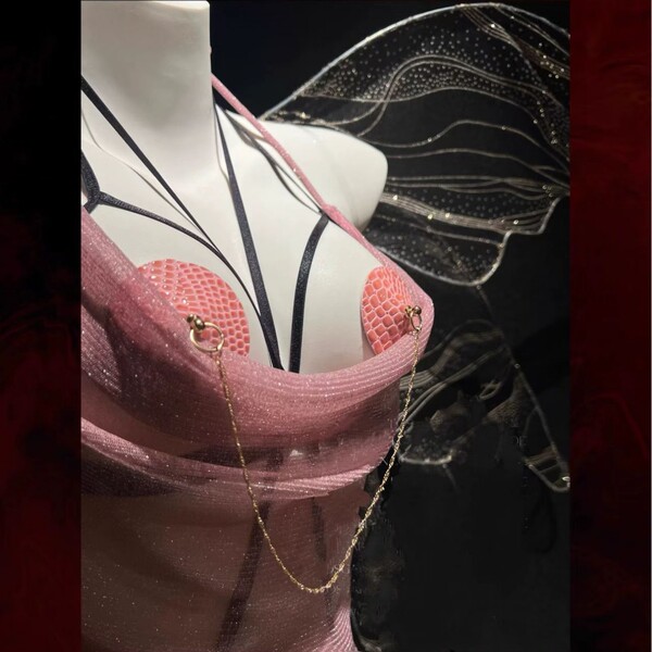 Sexy Maid Costume for Women - Sheer Lace Bodycon SM Dress with Chinese-Inspired Mesh & Matching Couple Set - Single nipple cover