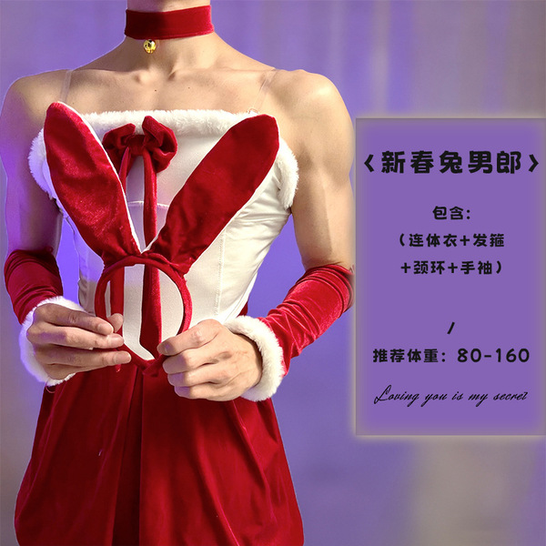 Loubi Sexy Chinese New Year Velvet Bunny Boy Costume - Role Play Lingerie Dress for Men - New Year Bunny Boy [Onesie + Headband + Neck Ring + Wristbands]