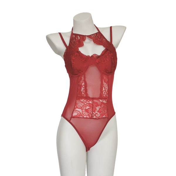 Womens sexy lace bodysuit - sheer pure temptation mesh & lace one-piece outfit, no-undress design