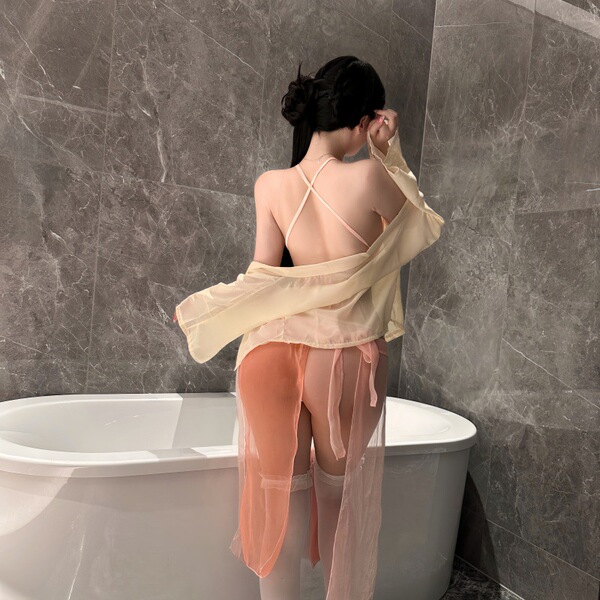 Vintage-inspired lingerie set featuring a sheer top with delicate embroidery, paired with elegant peach-colored , perfect fo...