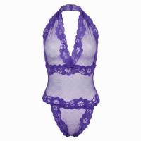 Feiniao Moonbird Sheer Lace Bodysuit - Seductive Mesh Bodycon Erotic Lingerie Set 9692 thumbnail