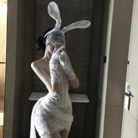 Taoxitang Sexy Lingerie Set - Seductive Sheer Lace Sleep Dress & Matching Costume Outfit for Women thumbnail