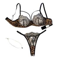 Leopard Print Sexy Lingerie Set - Sheer Mesh Pure & Sensual Bra and Panty Set for Women thumbnail