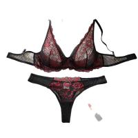 Luxury Lace Mesh Sexy Lingerie Set for Women – High-End Push-Up Bra & Matching Panty Collection thumbnail