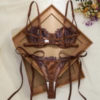 French Lace Sexy Lingerie Set - Sheer Mesh Bra & Thong with Underwire & Ties thumbnail