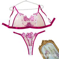 INS Style Romantic Floral Lace Sexy Bra Set - Sheer Mesh Plus Size Erotic Lingerie Outfit thumbnail