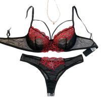 Luxury Lace Sheer Bra Set - Plus Size Sexy Lingerie Set for Women, Transparent Mesh & Floral Embroidery thumbnail