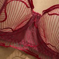 Wine Red Plus Size Lingerie Set - Sexy Sheer Mesh Bra & Panty Set with Lace Cutouts thumbnail