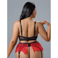 Sexy Lace Bra and Panty Set with Underwire - Sheer Mesh Lingerie Outfit for Women, Seductive & Flirty thumbnail