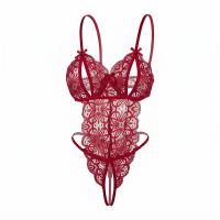 Fei Niao Kui Yue Lingerie Set - Sheer Lace Seductive Busty-Free Outfit for Small Busts, Sexy Moonbird Costume thumbnail