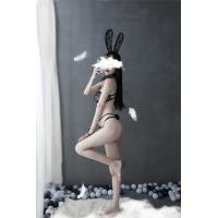 Lace Sheer Bunny Girl Costume Set – Sexy 3-Piece Transparent Outfit with Rabbit Ears & Slimming Design thumbnail