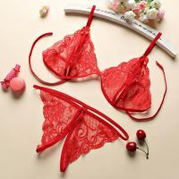 Lace Sexy Bikini Set with Open-Crotch Thong - Romantic Lingerie Sleepwear for Women, Plus Size 3-Piece Gift Set thumbnail