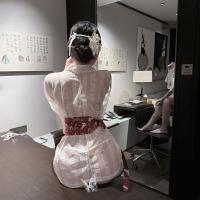 Ancient Chinese Hanfu Robe Set - Qin-Han Dynasty Inspired Drag-Tail Court Dress with Matching Lingerie & Kimono Style thumbnail