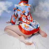 Japanese Kimono Costume Set - Sexy & Cute Role Play Lingerie Outfit, One-Piece Cosplay Ensemble thumbnail