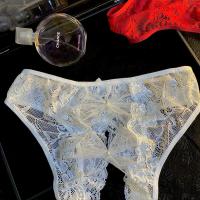 Escape Princess Lace Cotton Bikini Panties for Women – Romantic Pink Sheer Floral Underwear thumbnail