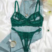 European-Style Aesthetic Lace Bodysuit Set - Minimalist Sheer Nude Bra & Panty Two-Piece thumbnail