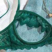 European-Style Aesthetic Lace Bodysuit Set - Minimalist Sheer Nude Bra & Panty Two-Piece thumbnail