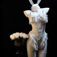Rabbit Girl Lingerie Set - Sexy Tight-Fit Costume Sleepwear for Women, Pure Temptation Outfit thumbnail