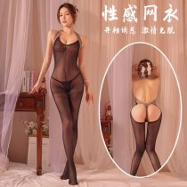 NightSigh NightSeduce Plus Size Seductive Lace Mesh Bodystocking - Sexy Tear-Away Open-Crotch Sheer Stocking Set