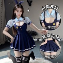 Pure & Sexy Lingerie Set – JK Pleated Suspender Skirt, Bunny Girl & Police Officer Costume, School Uniform Style