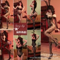 Women's Sexy Lace Mesh Bodysuit with Open-Crotch Design - Elegant European-Style Sheer Tights Set