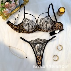 Leopard Print Sexy Lingerie Set - Sheer Mesh Pure & Sensual Bra and Panty Set for Women