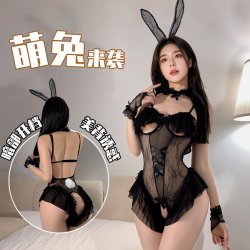 Playful Bunny Girl Lingerie Set - Sexy Sheer Mesh Sleepwear with Thong Cutout & Lace Trim