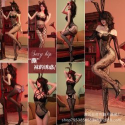 Women's Sexy Lace Mesh Bodysuit with Open-Crotch Design - Elegant European-Style Sheer Tights Set