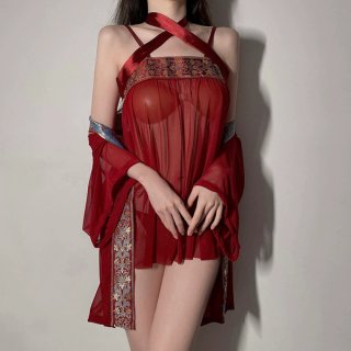 Vintage hanfu-inspired sheer mesh bodysuit with intricate embroidery, perfect for belly dance performances and elegant evenin...