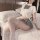 Woman wearing a plus size sexy jk uniform set with a white crop top, plaid bow tie, and seductive pleated mini skirt on a bed...