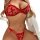 Woman wearing red embroidered mesh lace bra set with matching thong, featuring floral detailing and adjustable straps.