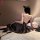 Woman in black feiniao moonbird lace mesh sleep dress, sheer backless nightgown with adjustable straps, sitting on bed.
