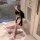 Woman in pink rabbit girl lingerie set with bunny ears, sitting on floor holding plush toy—sexy open-crotch bodysuit for role...