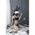 Sexy lace sheer bunny girl costume set featuring transparent design, rabbit ears, and slimming bodice for bold fashion statem...